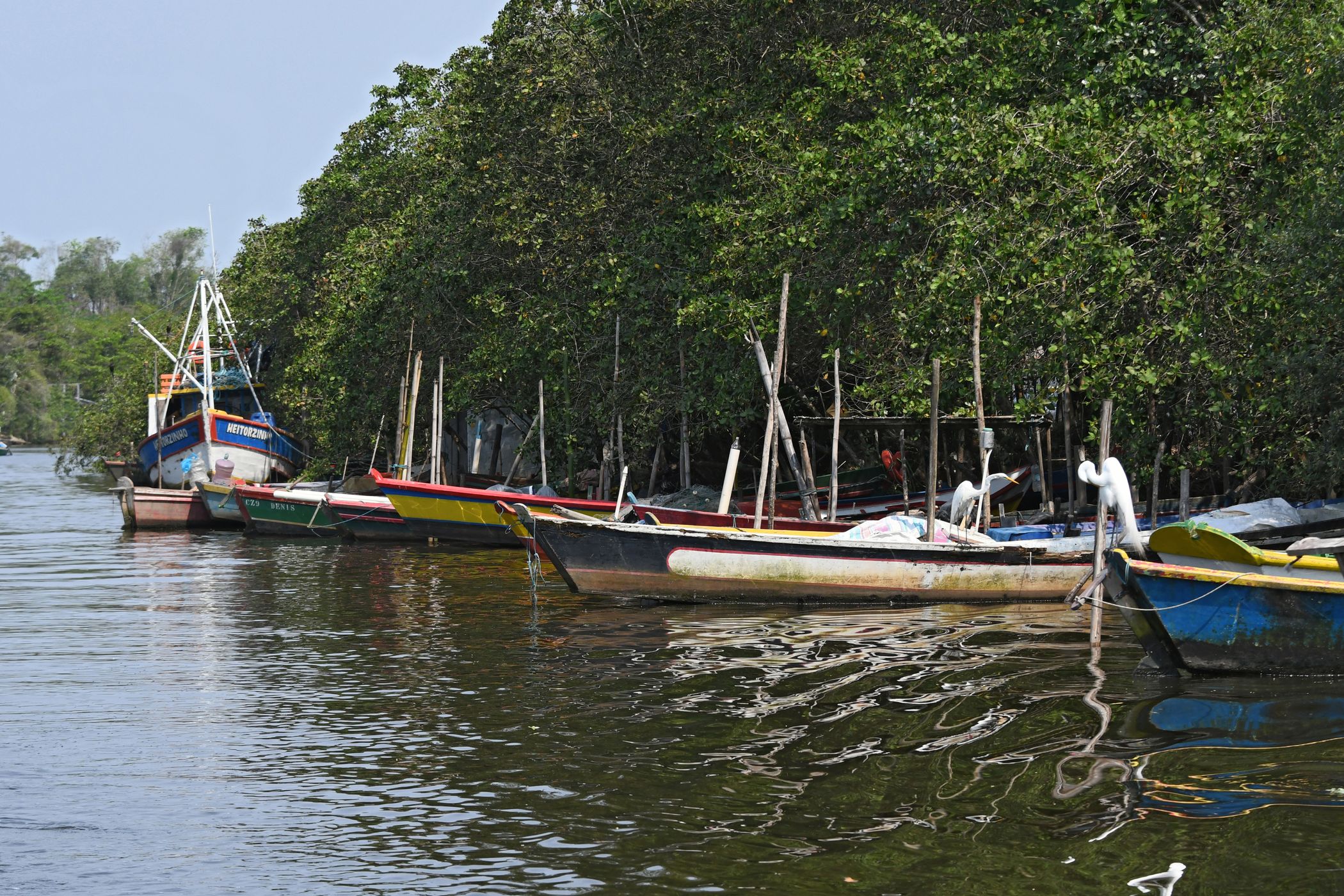 Suruí River, Brazil