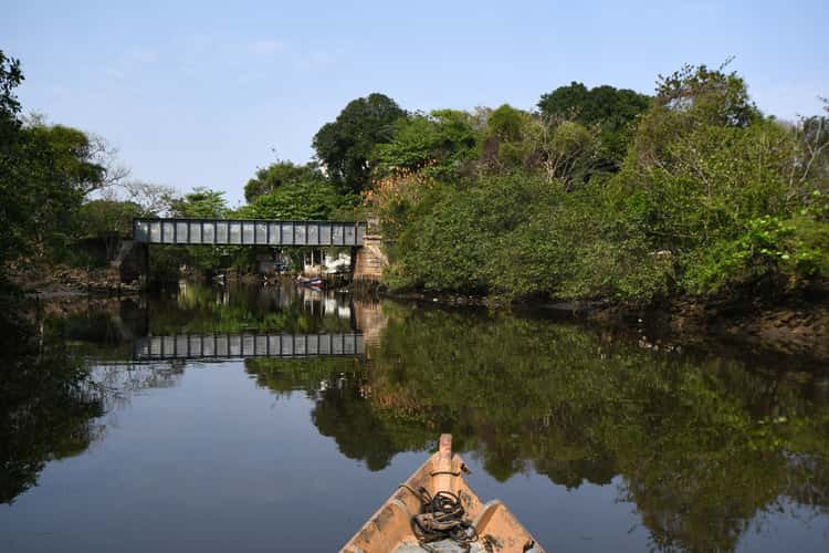 Suruí River