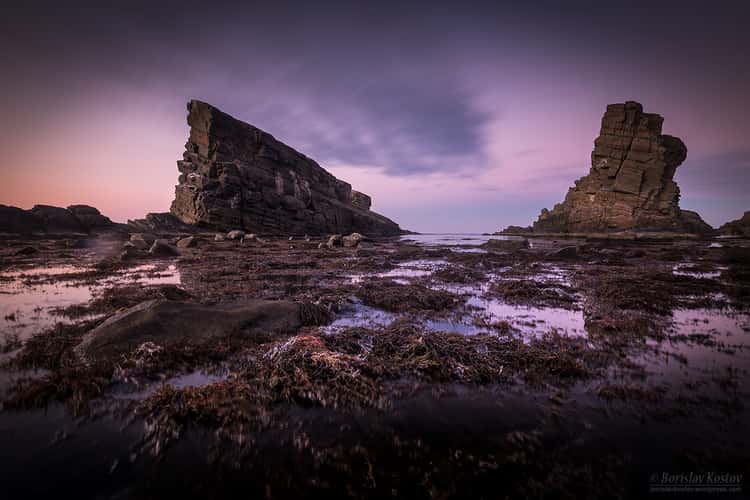 The Stone Ships, Sinemorets