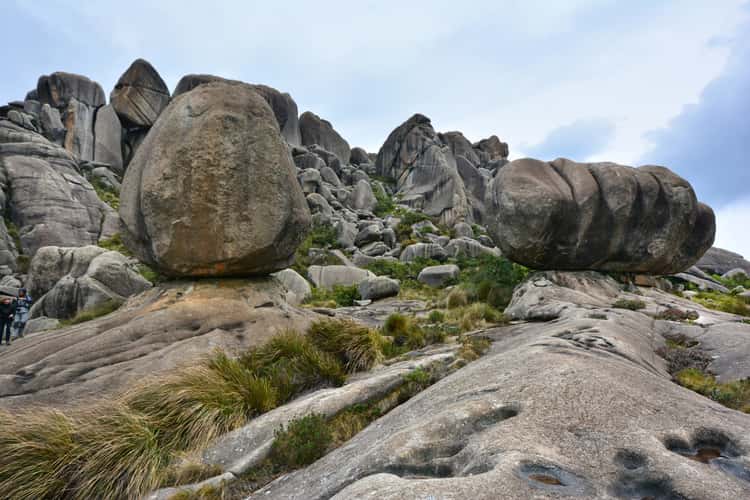 The Turtle and Apple Rocks