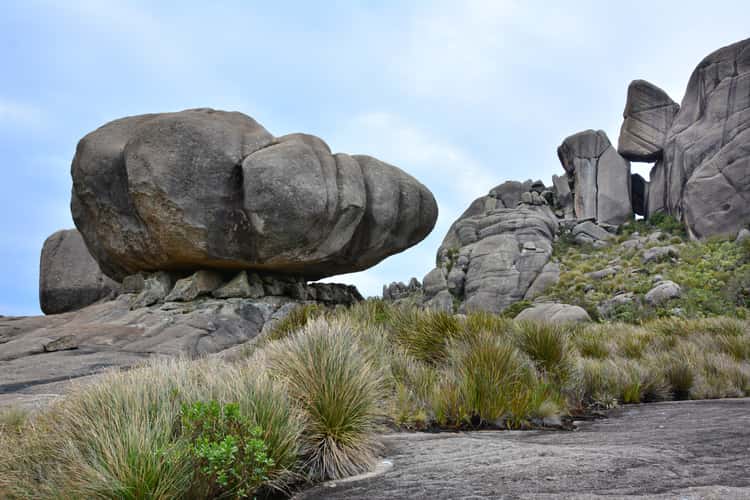 The Turtle and Apple Rocks