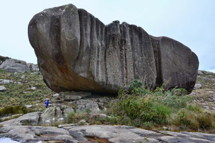 The Turtle and Apple Rocks