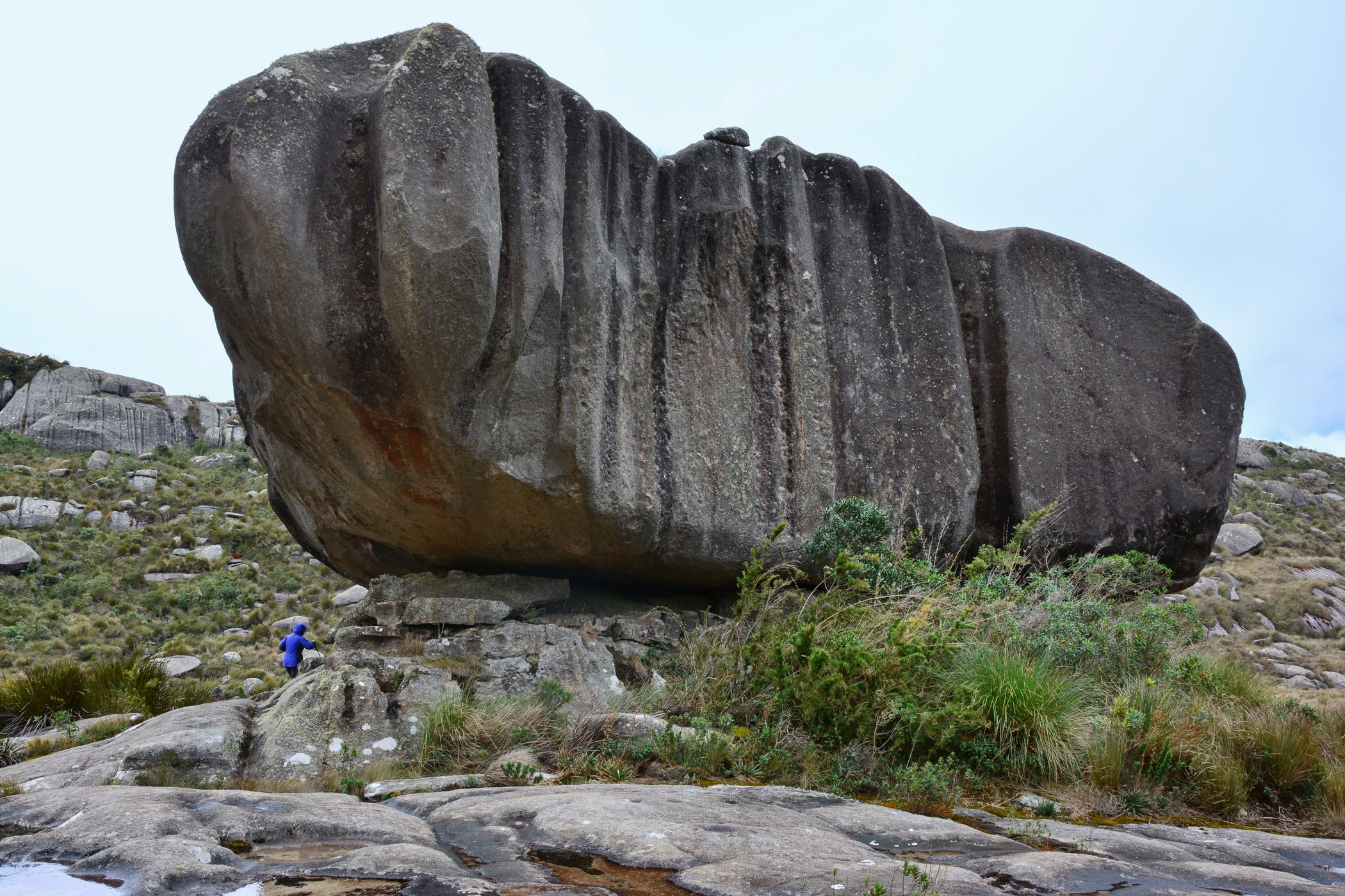 The Turtle and Apple Rocks, Brazil