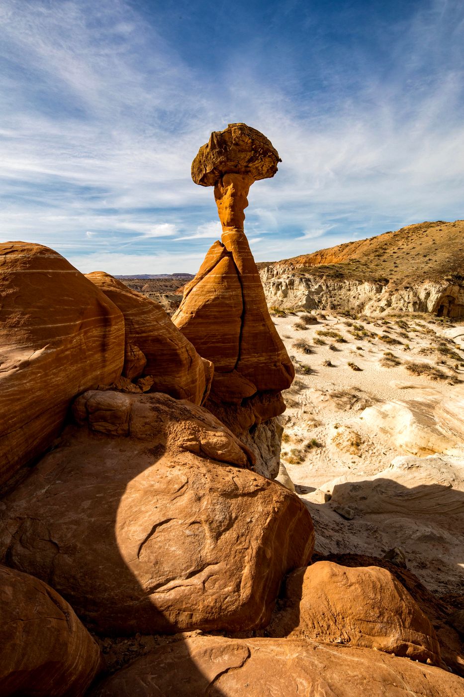 Toadstools, USA
