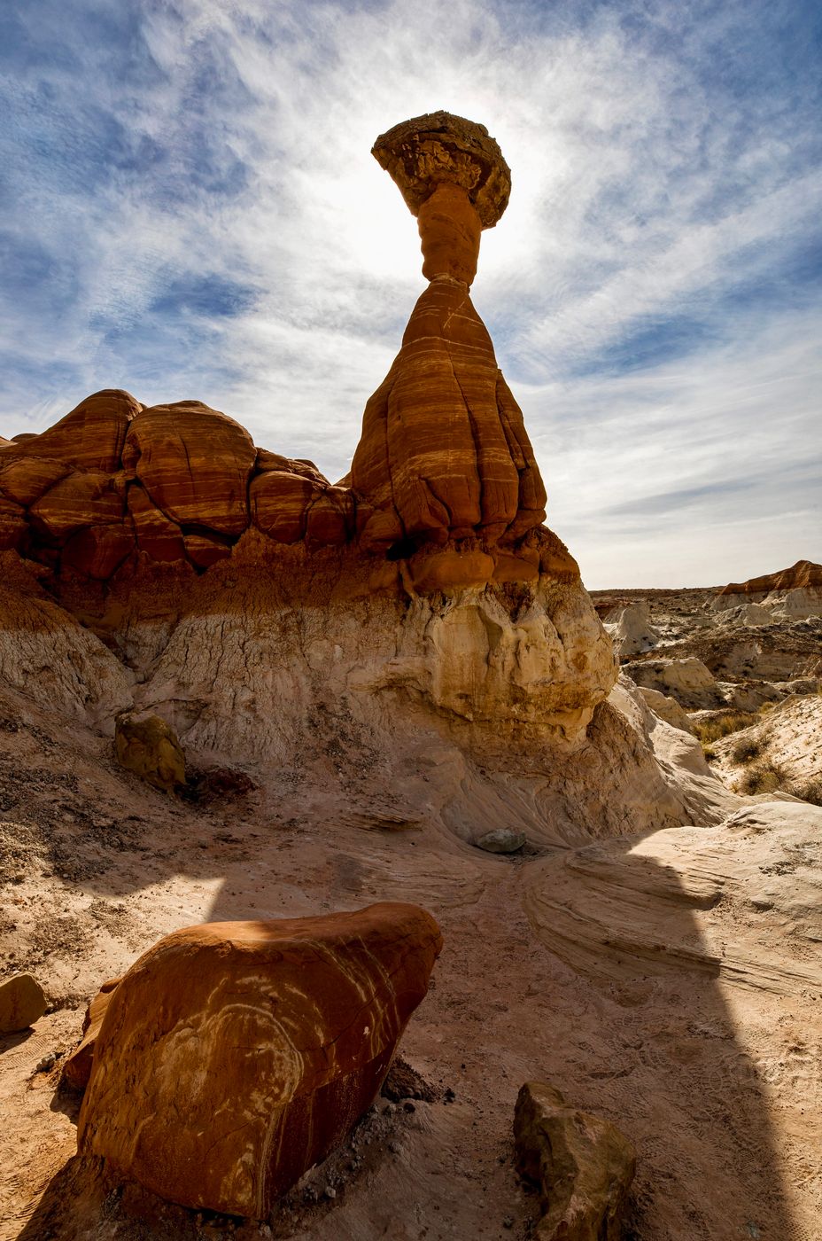 Toadstools, USA