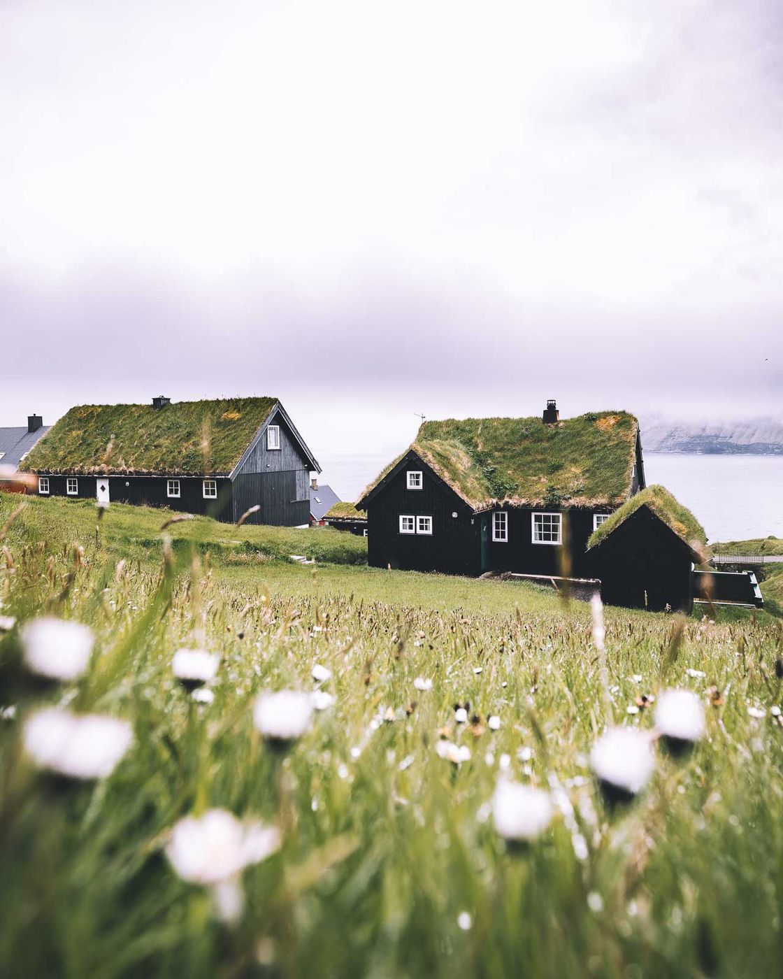 Traditional houses near Mikladalur, Faroe Islands