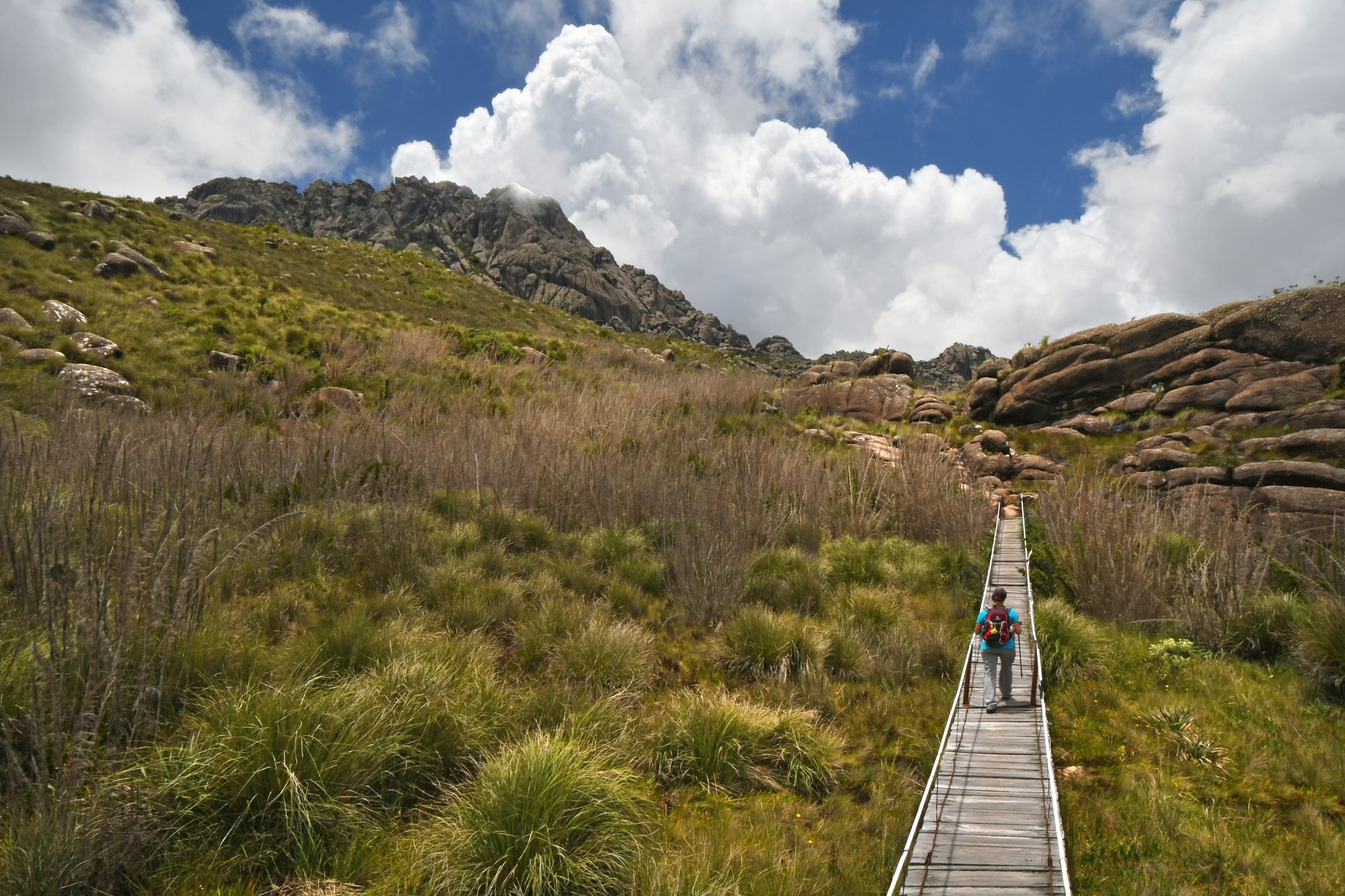 Trail at Itatiaia National Park, Brazil