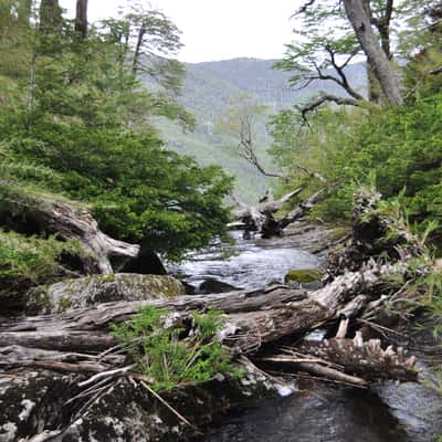 Trail to Laguna el Toro, Chile