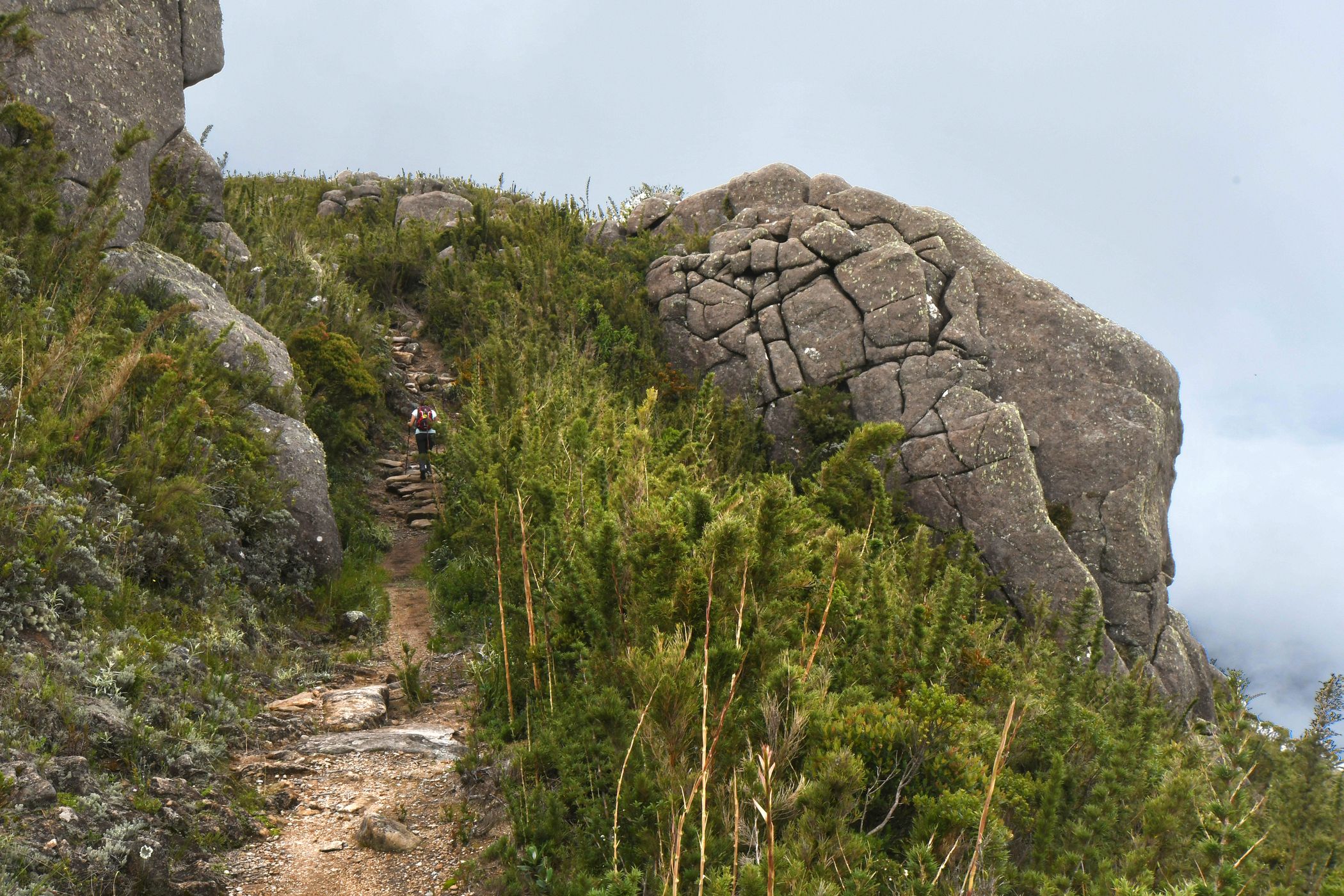 Trail to Morro do Couto, Brazil
