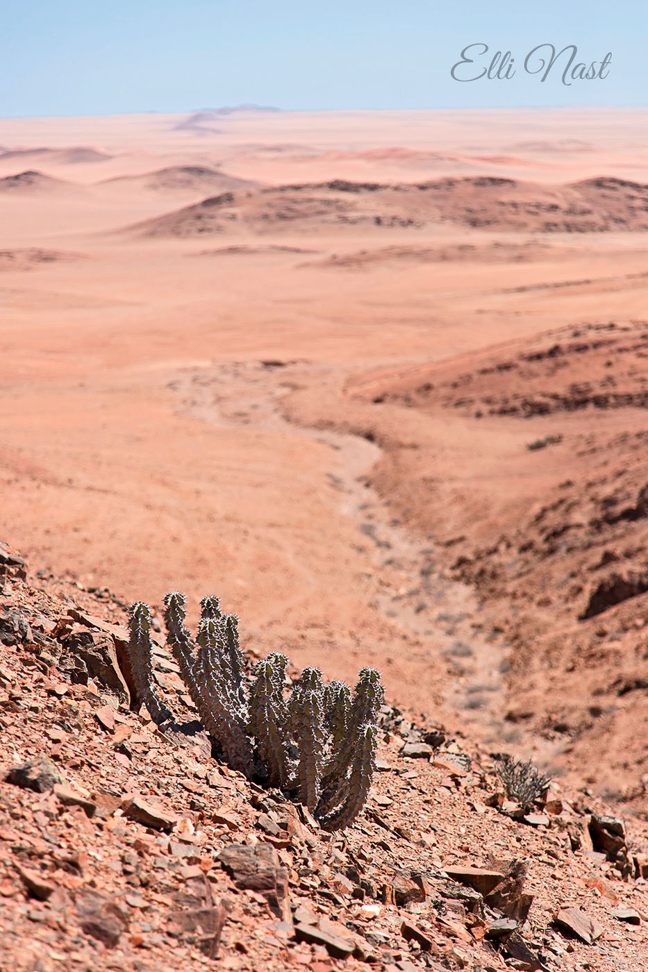 Viewpoint pink desert, Namibia