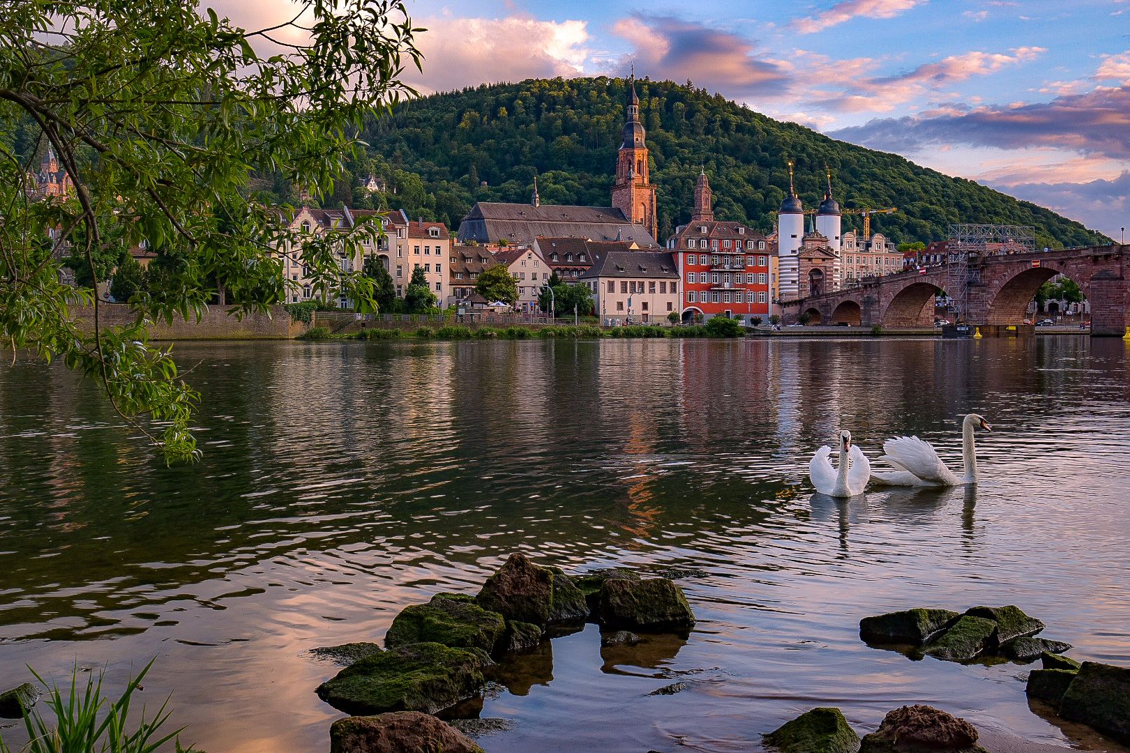 At the Neckar river, Heidelberg, Germany