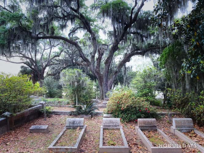 Bonaventure Cemetery
