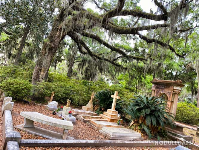 Bonaventure Cemetery