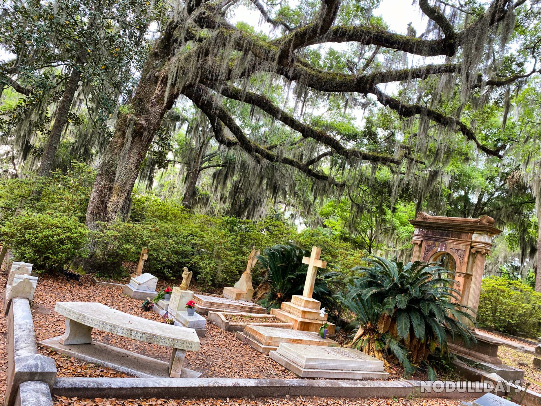 Bonaventure Cemetery, USA