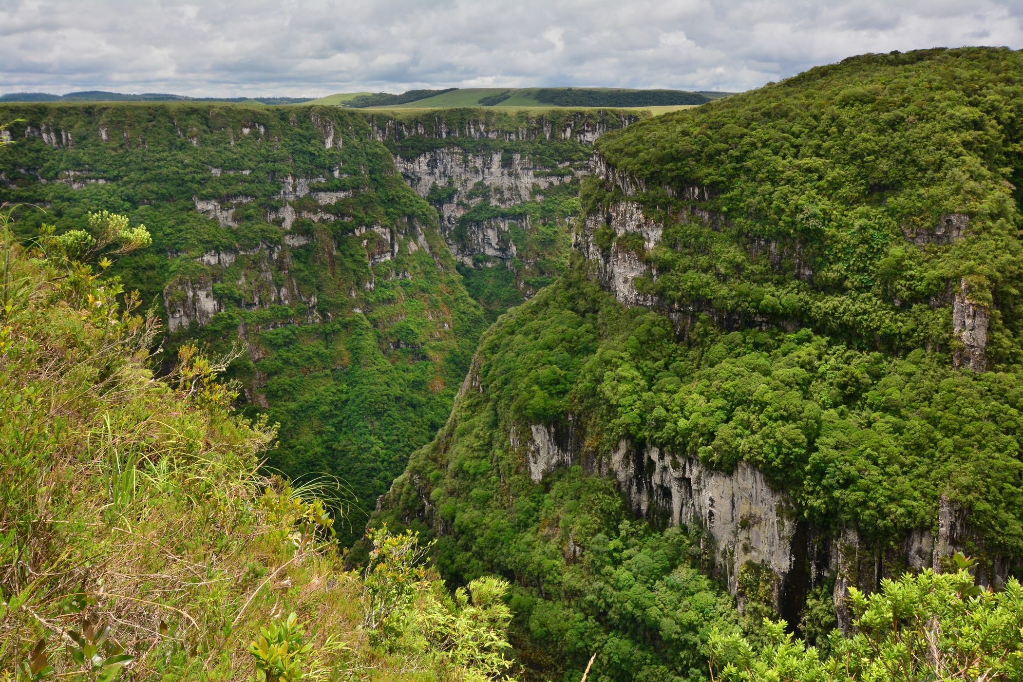 Cachoeira do Tigre Preto, Brazil