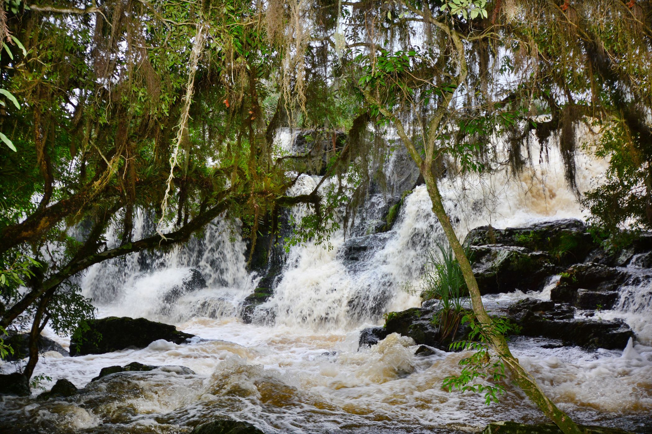 Cascata dos Venancios, Brazil