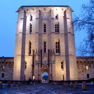 Chateau de Vincennes, France