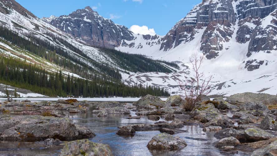 Consolation Lake - Banff