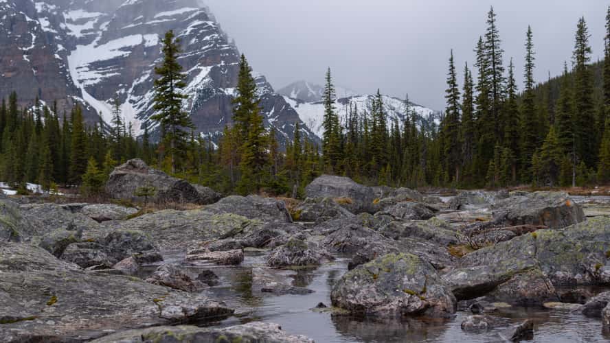 Consolation Lake - Banff