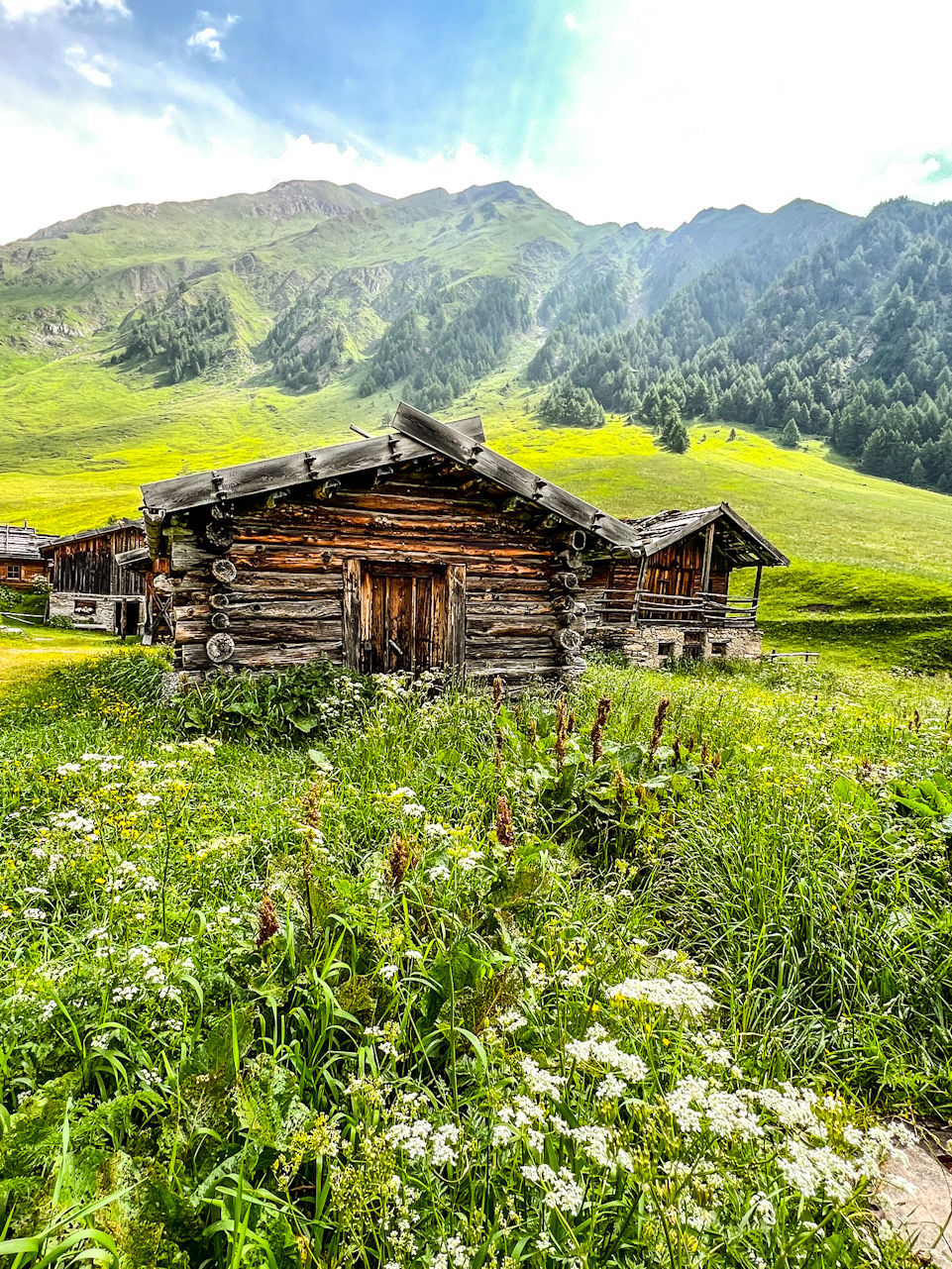 Fane Alm, Italy