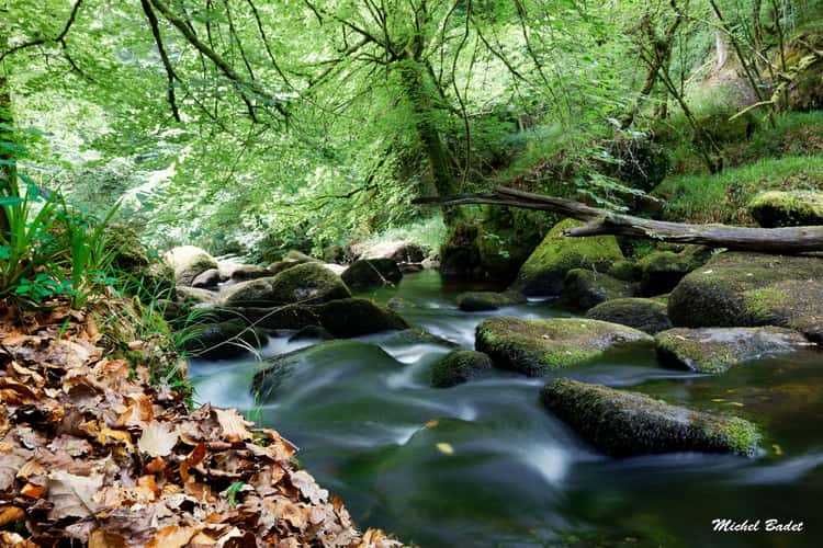 Forest of Huelgoat