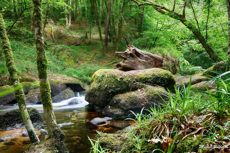 Forest of Huelgoat
