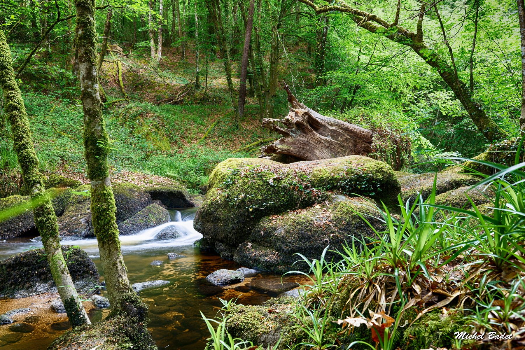 Forest of Huelgoat, France