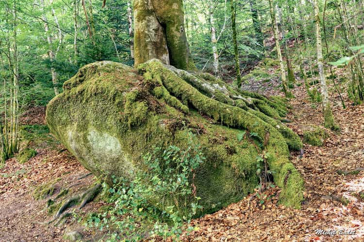 Forest of Huelgoat