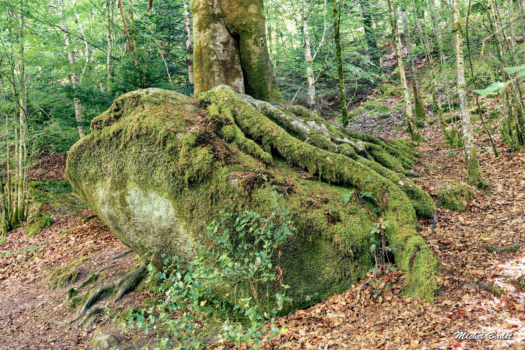 Forest of Huelgoat, France
