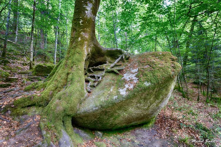 Forest of Huelgoat