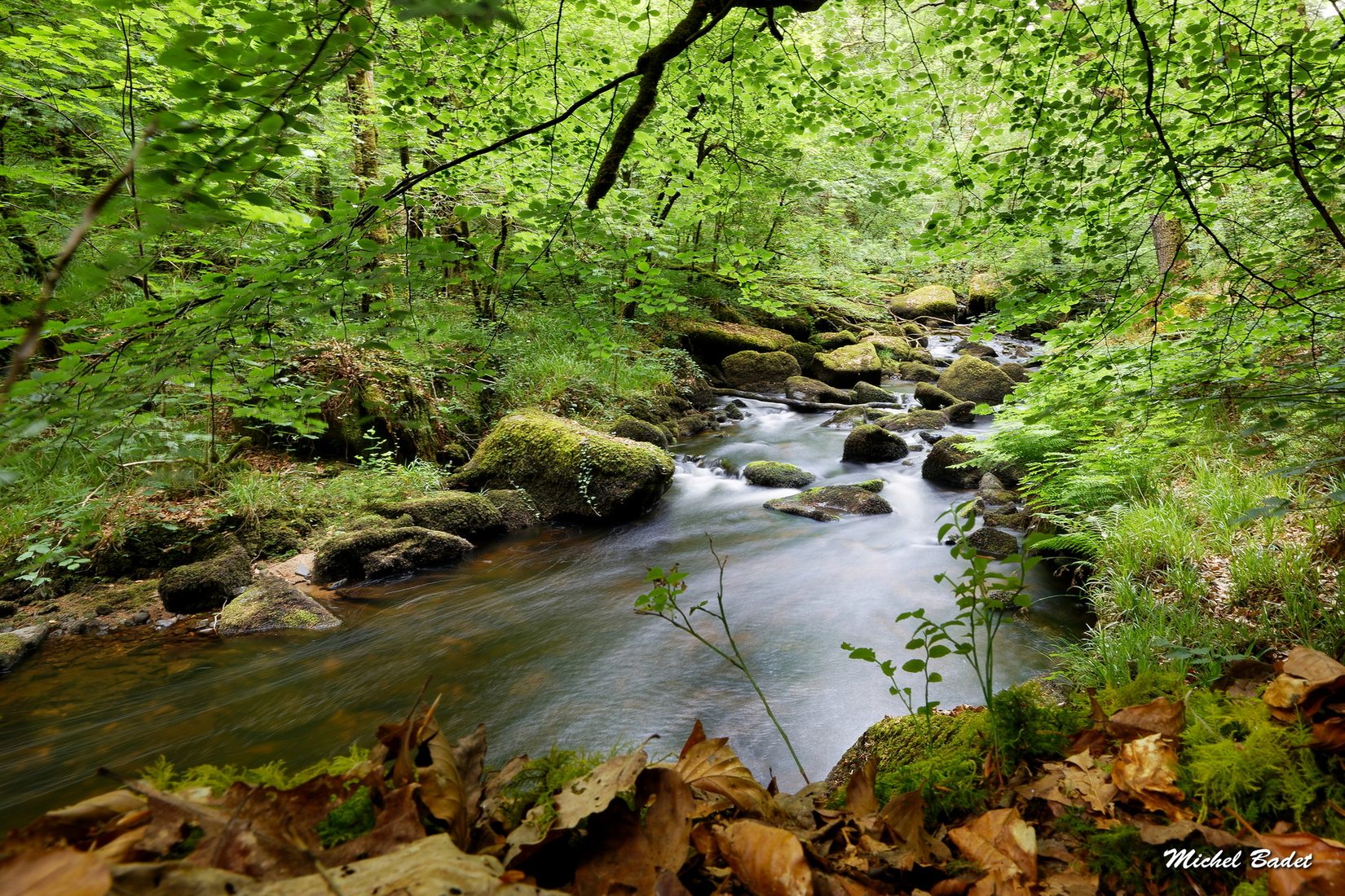 Forest of Huelgoat, France