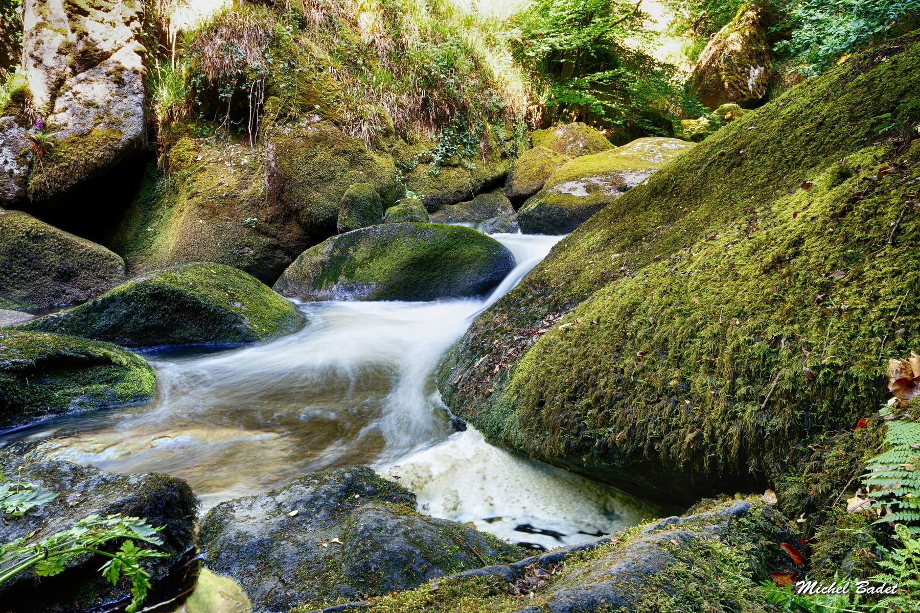 Forest of Huelgoat, France