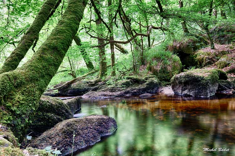 Forest of Huelgoat