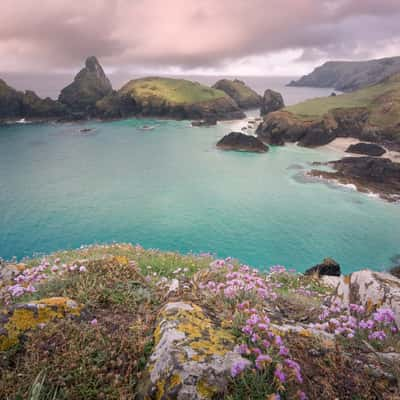 Kynance Cove, United Kingdom