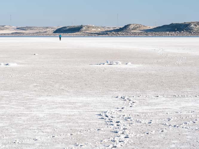 Laguna la Playa Salt Lake