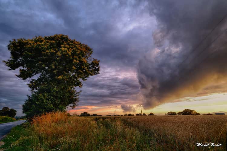 Melesse, Britanny fields