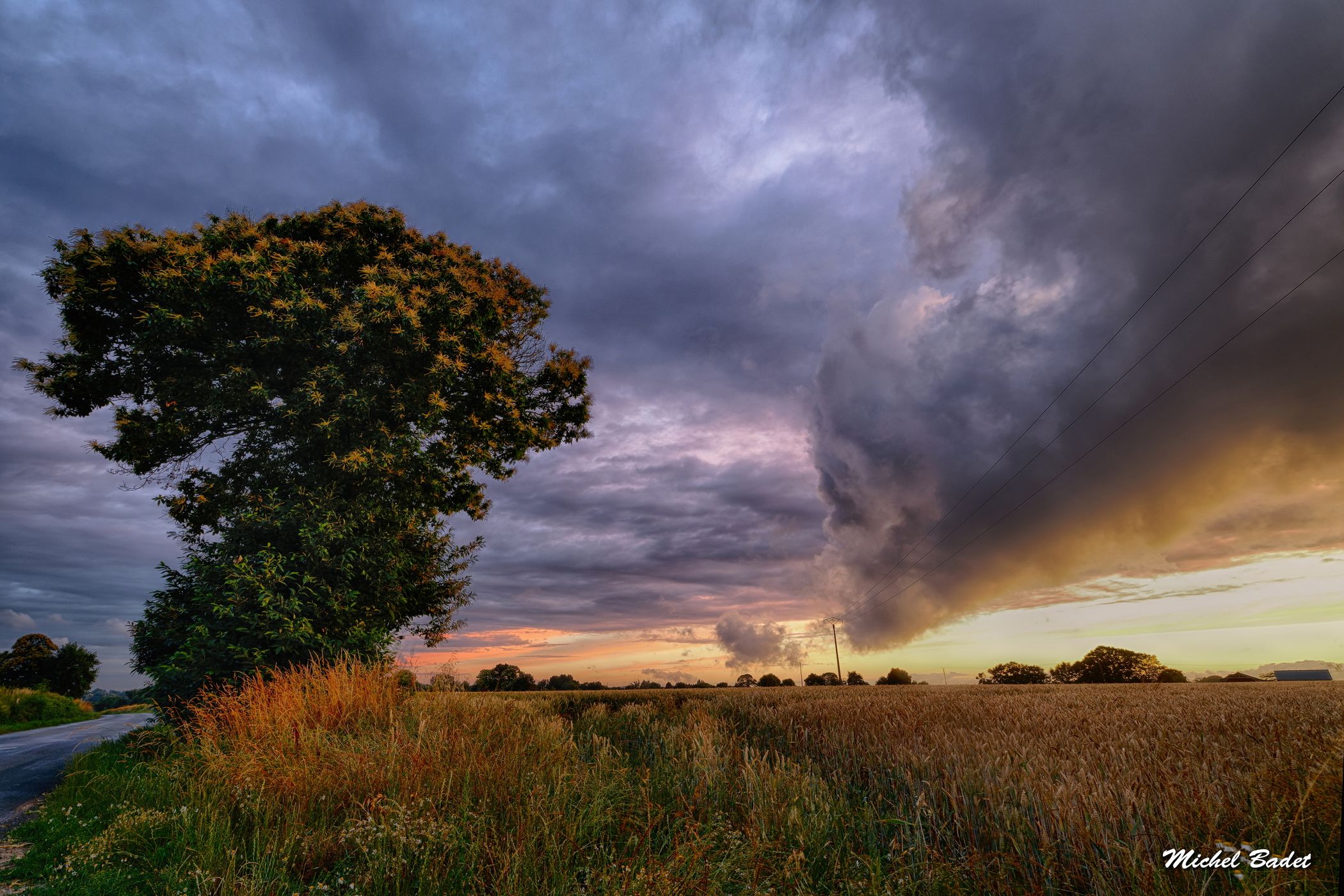 Melesse, Britanny fields, France