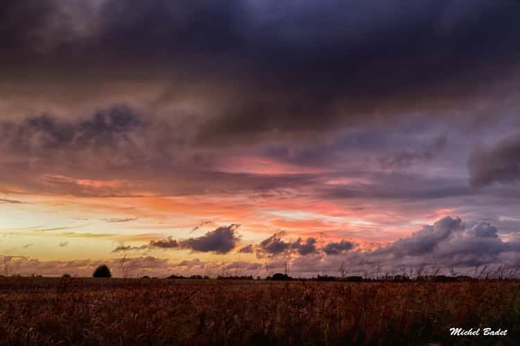 Melesse, Britanny fields