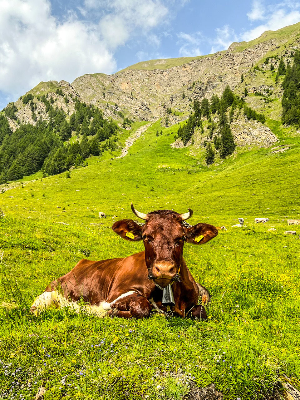 Fane Alm, Italy