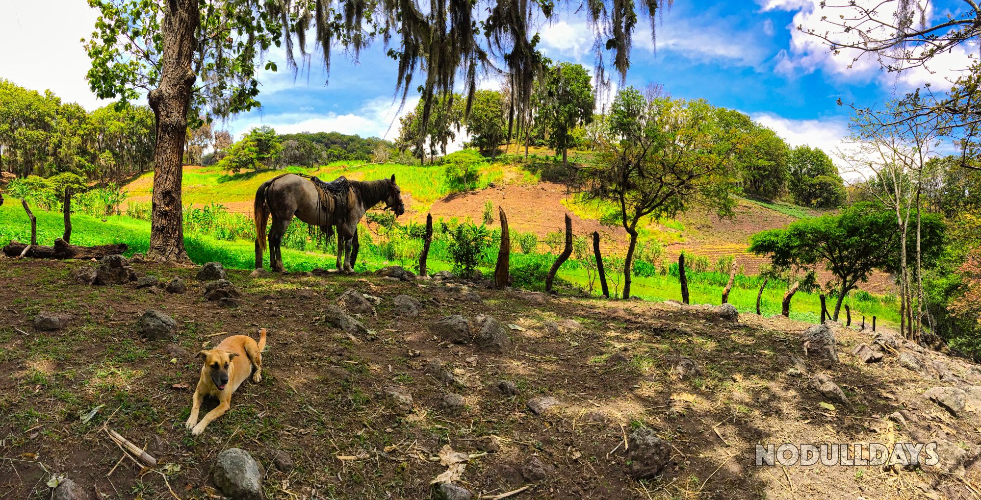 Miraflor Nature Reserve, Nicaragua