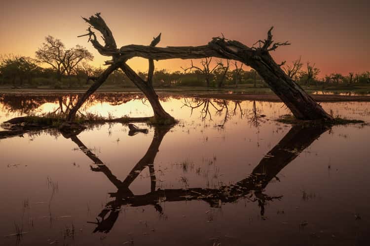 Moremi Paradise Pools