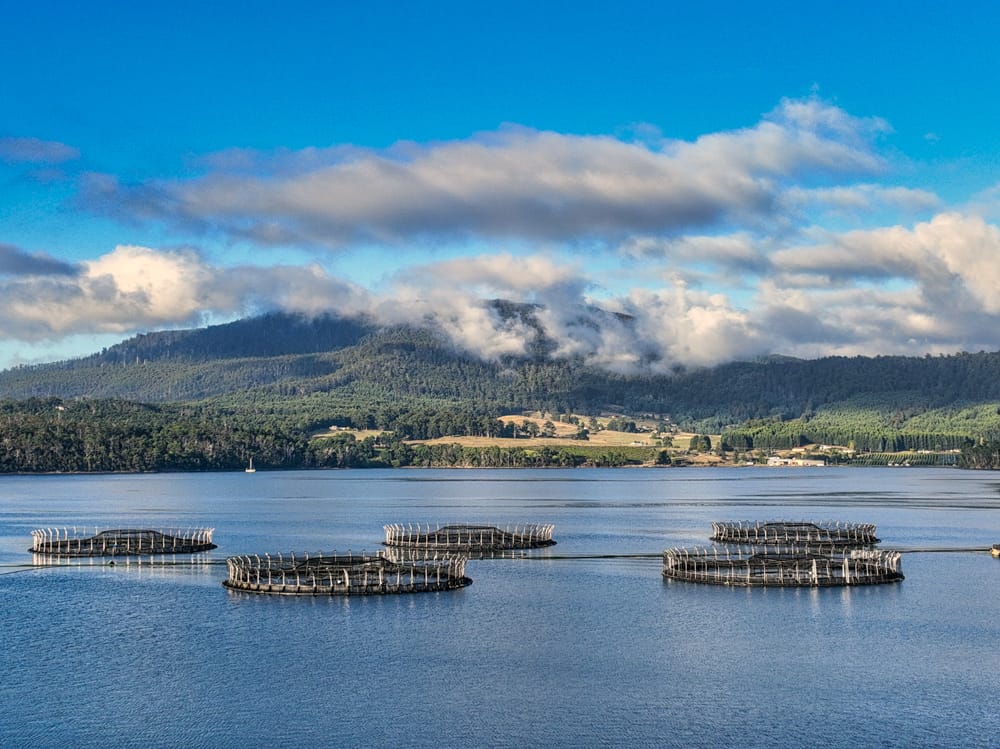 Mountain and Fish Farms, Huon River, Cygnet, Tasmania, Australia