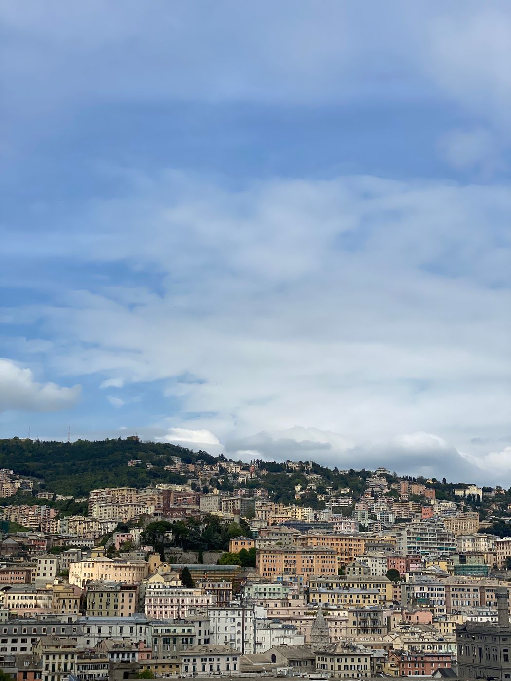 MSC Terminal, Italy