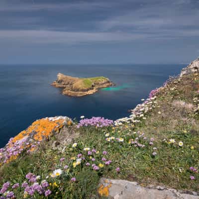 Mullion Cove, United Kingdom