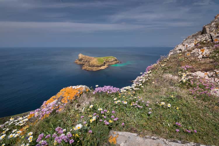 Mullion Cove