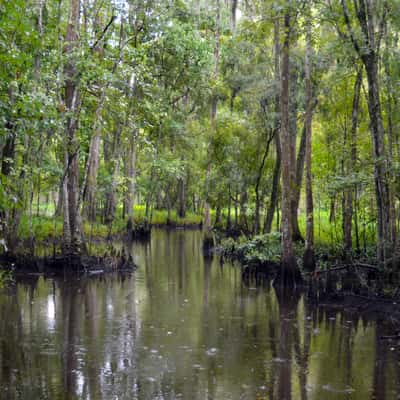 New Orleans Bayou, USA