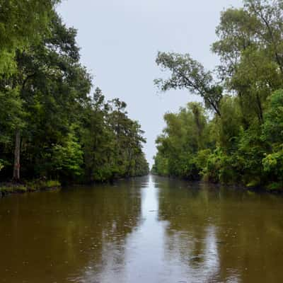 New Orleans Bayou, USA