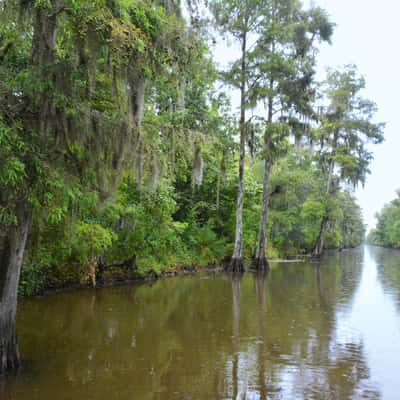 New Orleans Bayou, USA