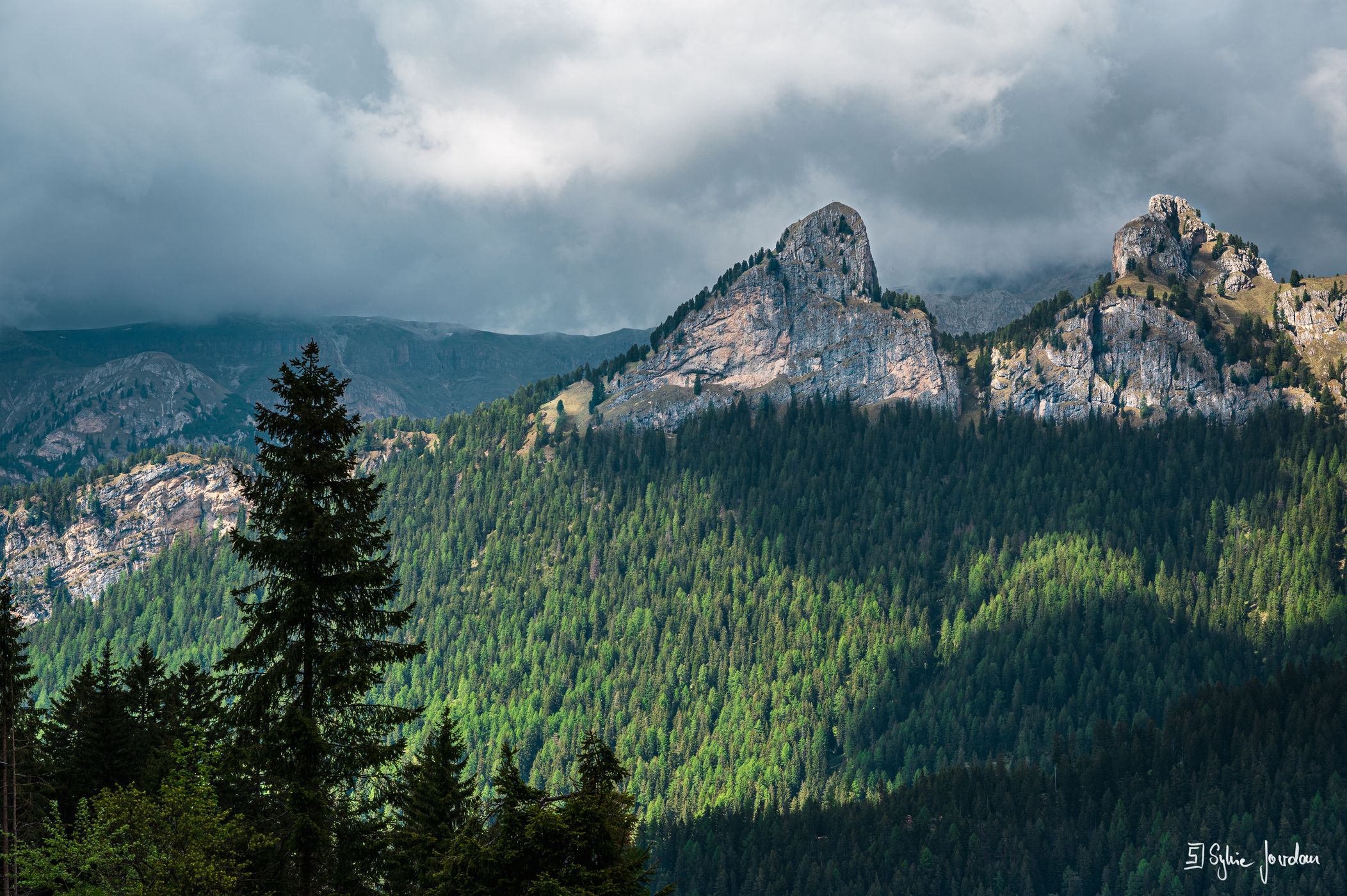 Nigerpass, Italy