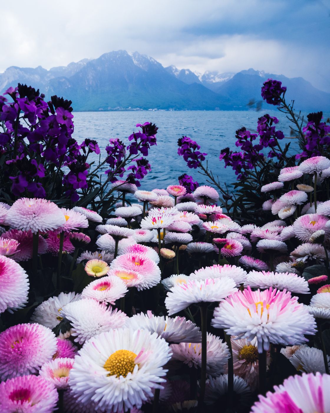 Promenade fleurie, Switzerland